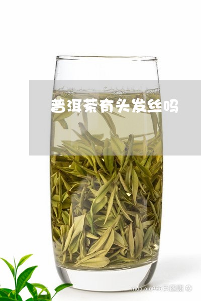 普洱茶有头发丝吗/2023040113503