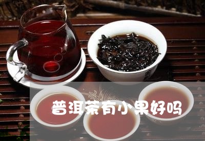 普洱茶有小果好吗/2023041364147