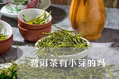 普洱茶有小芽的吗/2023033163606