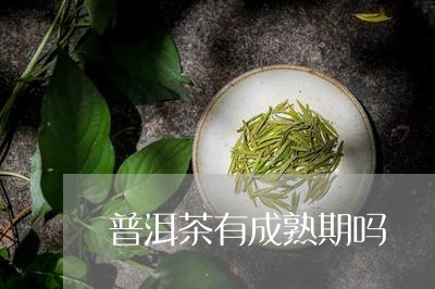 普洱茶有成熟期吗/2023033094935