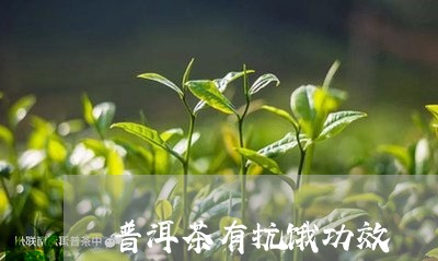 普洱茶有抗饿功效/2023040140592