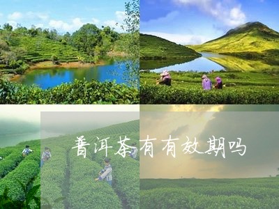 普洱茶有有效期吗/2023031757149