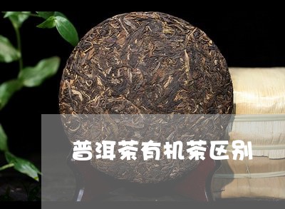 普洱茶有机茶区别/2023041284825