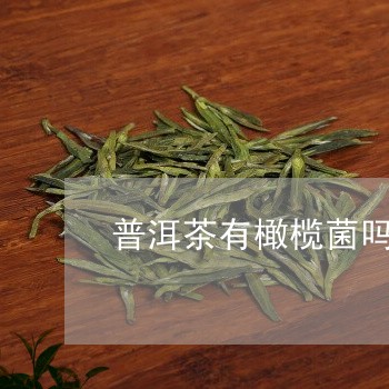 普洱茶有橄榄菌吗/2023031661694