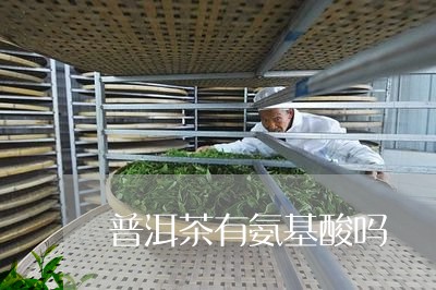 普洱茶有氨基酸吗/2023033107370