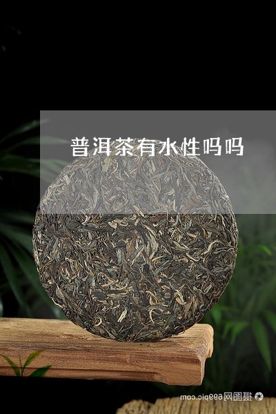 普洱茶有水性吗吗/2023041395037