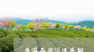 普洱茶有没保质期/2023031851591