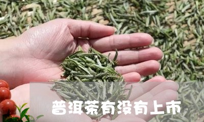 普洱茶有没有上市/2023041055249