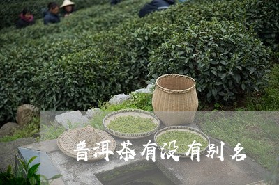 普洱茶有没有别名/2023041283724