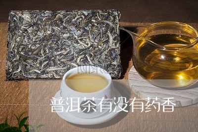 普洱茶有没有药香/2023031640785