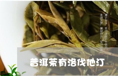 普洱茶有洛伐他汀/2023041093624