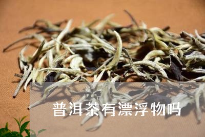 普洱茶有漂浮物吗/2023033181506