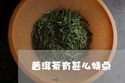 普洱茶有甚么特点/2023041003180