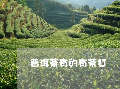 普洱茶有的有茶钉/2023041149793