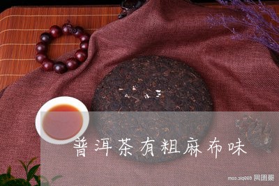 普洱茶有粗麻布味/2023040124148