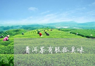 普洱茶有股狐臭味/2023033047279