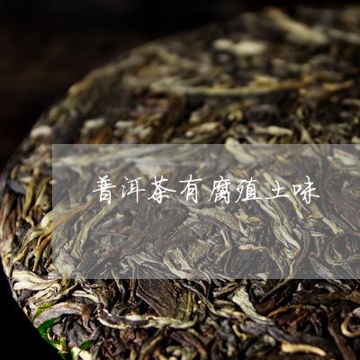 普洱茶有腐殖土味/2023040113079