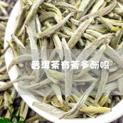 普洱茶有茶多酚吗/2023031714169