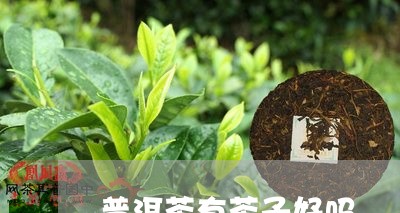 普洱茶有茶子好吗/2023031623916