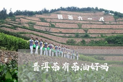 普洱茶有茶油好吗/2023041016047