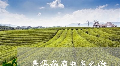 普洱茶有虫怎么治/2023041116937