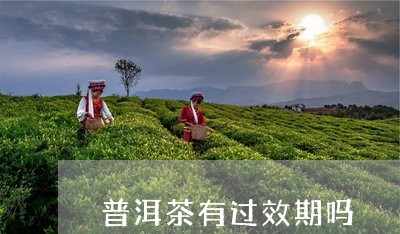 普洱茶有过效期吗/2023040962715