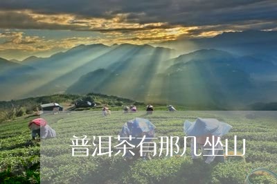 普洱茶有那几坐山/2023041056279