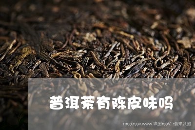 普洱茶有陈皮味吗/2023033153029