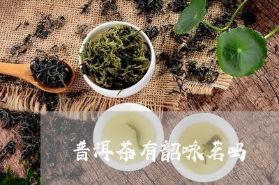 普洱茶有韶咏茗吗/2023033146260