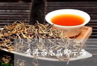 普洱茶木瓜椰子茶/2023031715038