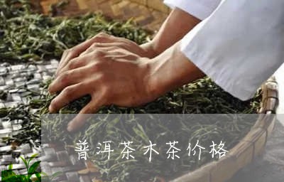 普洱茶木茶价格/2023041252059