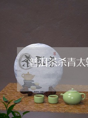 普洱茶杀青太轻了/2023041091603