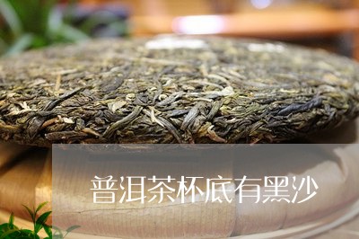 普洱茶杯底有黑沙/2023032973704