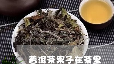 普洱茶果子在茶里/2023041178469