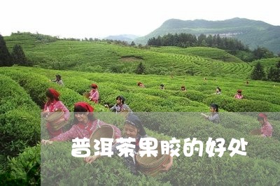 普洱茶果胶的好处/2023041000504