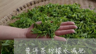 普洱茶柠檬水减肥/2023041309704