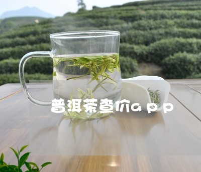 普洱茶查价app/2023041037574