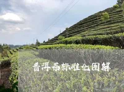 普洱茶标准化图解/2023040152737