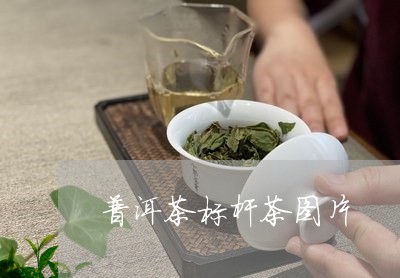 普洱茶标杆茶图片/2023031706281