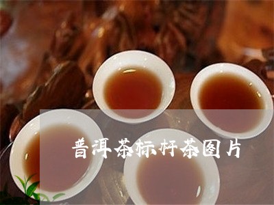 普洱茶标杆茶图片/2023041219494