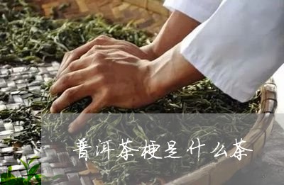 普洱茶梗是什么茶/2023031632693