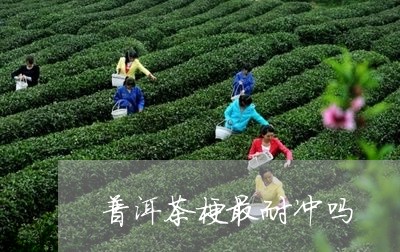 普洱茶梗最耐冲吗/2023033159404