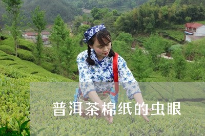 普洱茶棉纸的虫眼/2023040971825