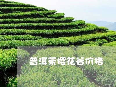 普洱茶樱花谷价格/2023031709493