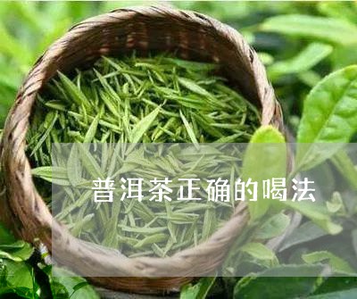 普洱茶正确的喝法/2023041360694