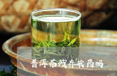 普洱茶残存农药吗/2023041059591