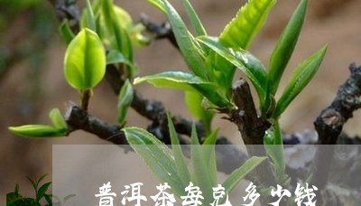 普洱茶每克多少钱/2023041208281