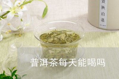 普洱茶每天能喝吗/2023041243705