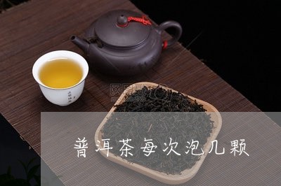 普洱茶每次泡几颗/2023031882804