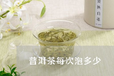 普洱茶每次泡多少/2023031775148